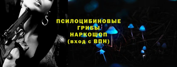 крисы Михайловск