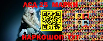 гашик Аргун