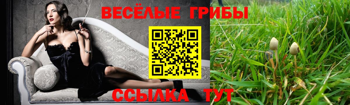 Галлюциногенные грибы мухоморы  Брянск 