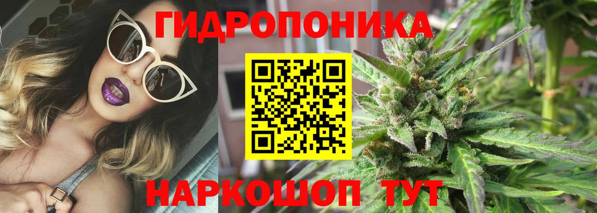 Конопля THC 21%  Конопля LSD WEED  Брянск  Бошки Шишки SATIVA & INDICA 